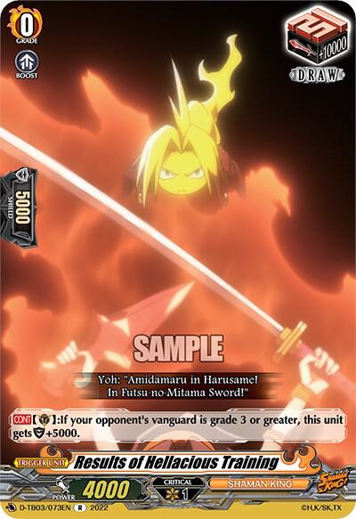 Results of Hellacious Training, D-TB03: Shaman King D-TB03/073EN