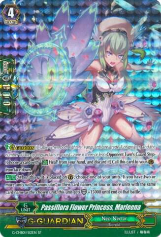 Passiflora Flower Princess, Marleena (SP), G-CHB01: TRY3 NEXT G-CHB01/S12EN