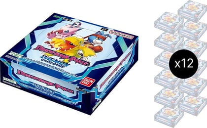 Dimensional Phase Booster Box Case, Dimensional Phase P454465