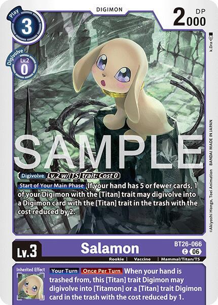 Salamon, Timeless Bonds BT26-066 C