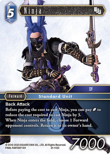 Ninja, Beyond Destiny 21-112C