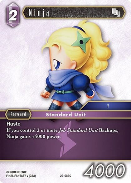 Ninja, Hidden Hope 22-083C