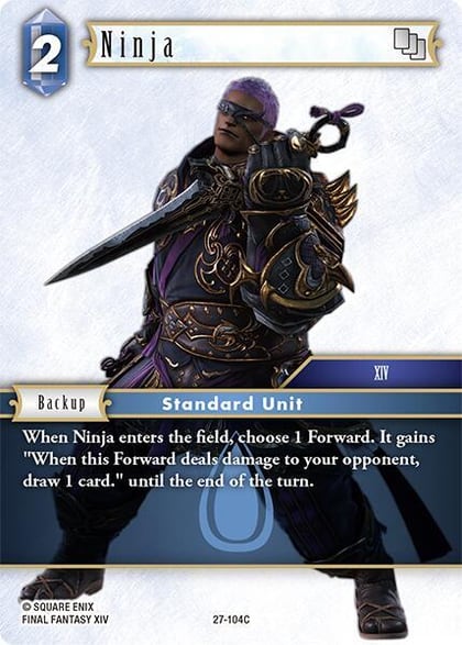 Ninja, Journey of Discovery 27-104C