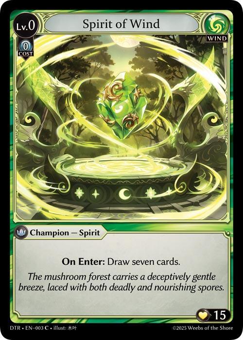Spirit of Wind, Distorted Reflections 003