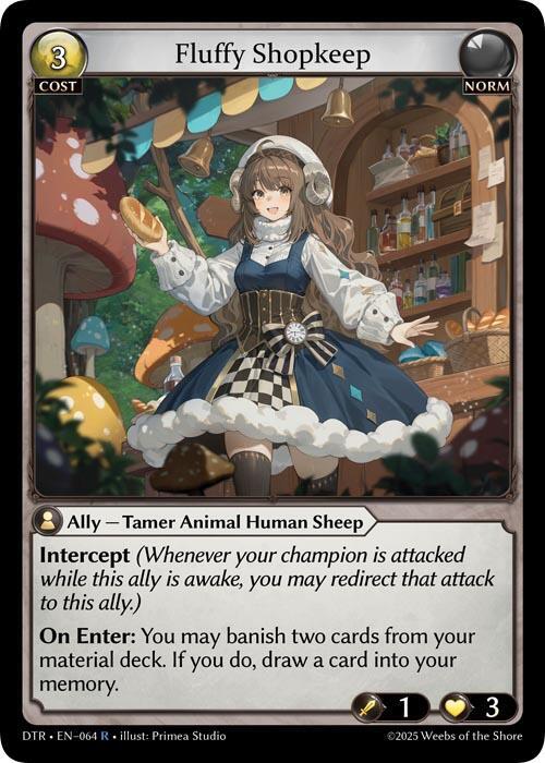 Fluffy Shopkeep, Distorted Reflections 064