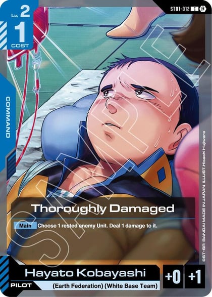 Thoroughly Damaged, Edition Beta ST01-012