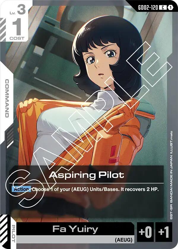 Aspiring Pilot, Dual Impact GD02-120