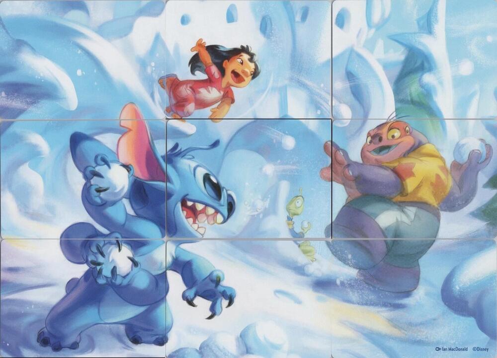 Winterspell Snowball Fight Puzzle Insert (Set of 9), Winterspell P682933