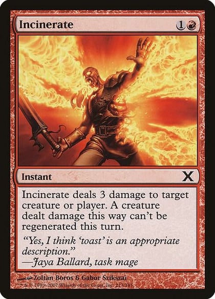 Incinerate, 10th Edition 213