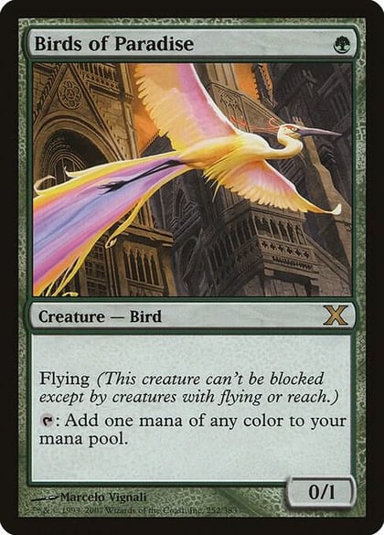 Birds of Paradise, 10th Edition 252