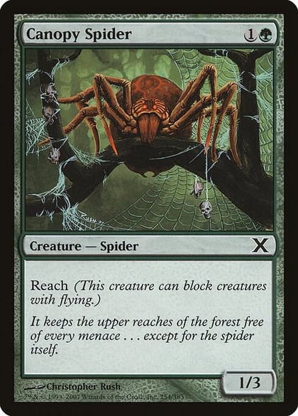 Canopy Spider, 10th Edition 254