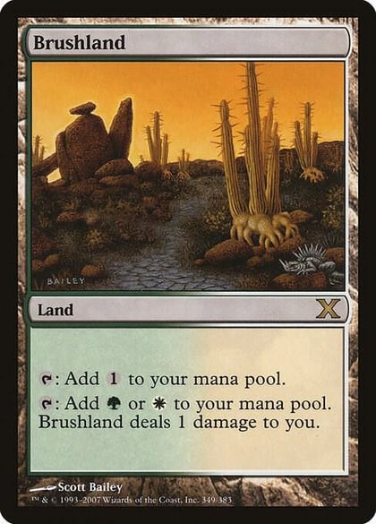 Brushland, 10th Edition 349