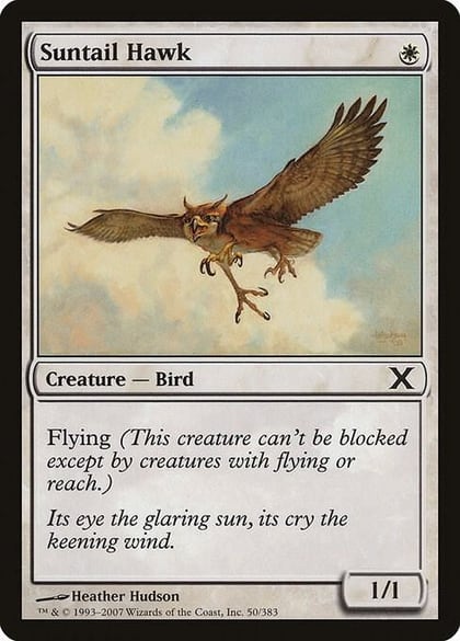 Suntail Hawk, 10th Edition 50