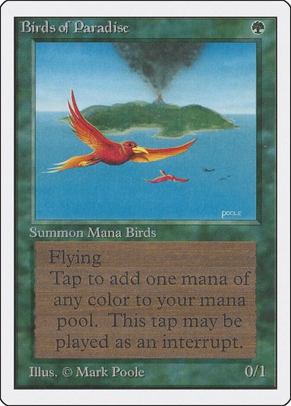 Birds of Paradise, Unlimited Edition #8987