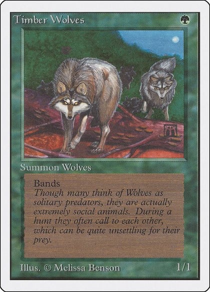 Timber Wolves, Unlimited Edition #9229