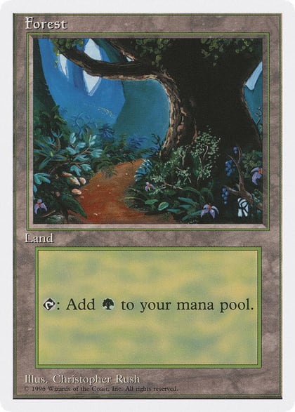 Forest (B), Introductory Two-Player Set 66