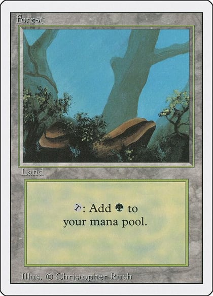 Forest (A), Revised Edition 284