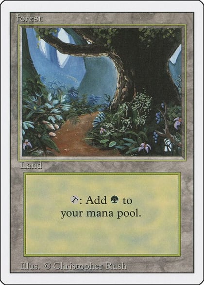Forest (B), Revised Edition 286