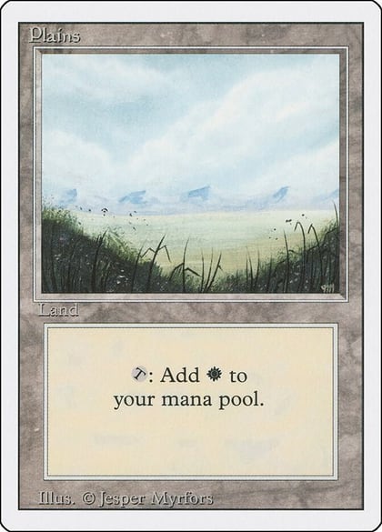 Plains (A), Revised Edition 293