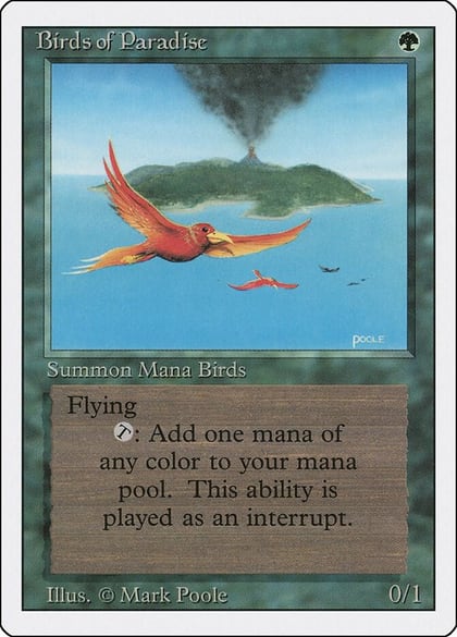 Birds of Paradise, Revised Edition #1344