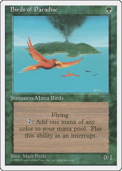 Birds of Paradise, Fourth Edition 118