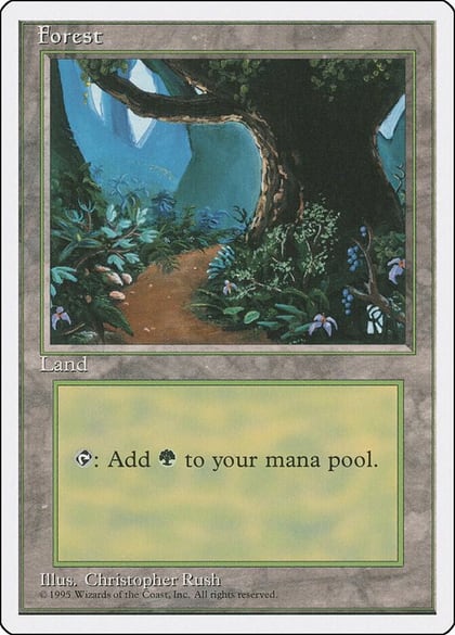 Forest (B), Fourth Edition 175