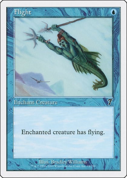 Flight, 7th Edition 75