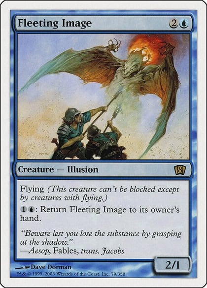 Fleeting Image, 8th Edition 79