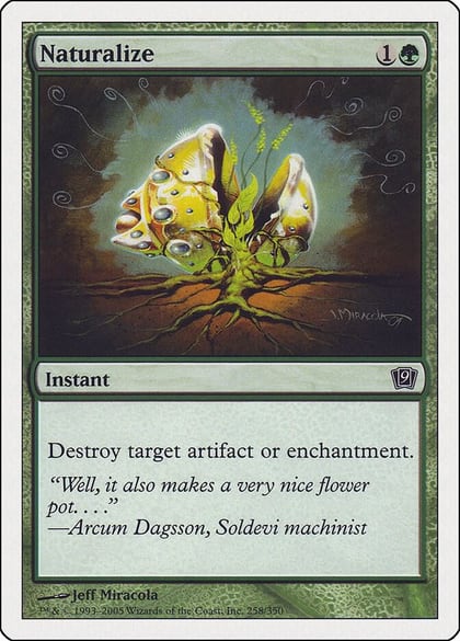 Naturalize, 9th Edition 258