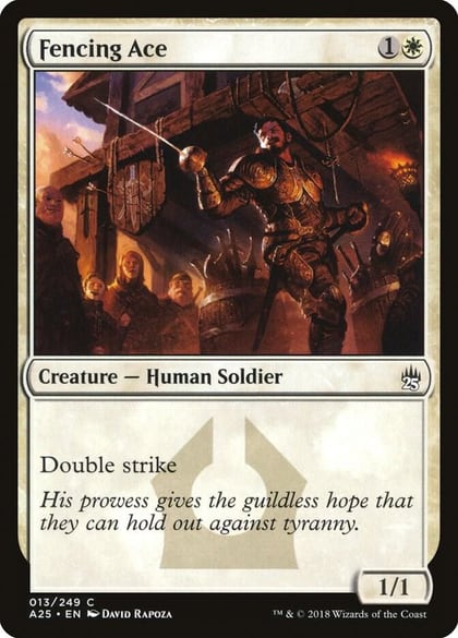 Fencing Ace, Masters 25 13