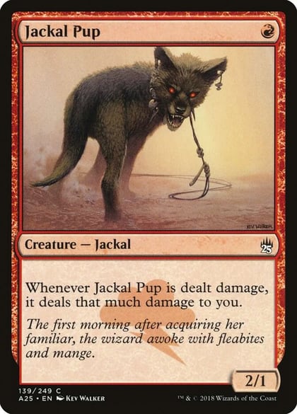 Jackal Pup, Masters 25 139