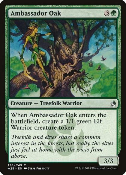 Ambassador Oak, Masters 25 158