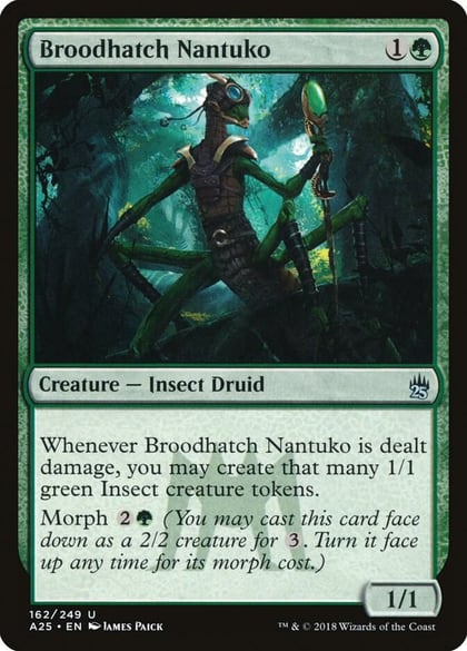 Broodhatch Nantuko, Masters 25 162