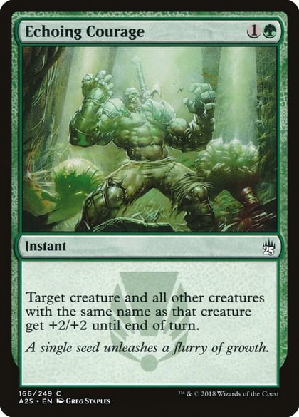 Echoing Courage, Masters 25 166