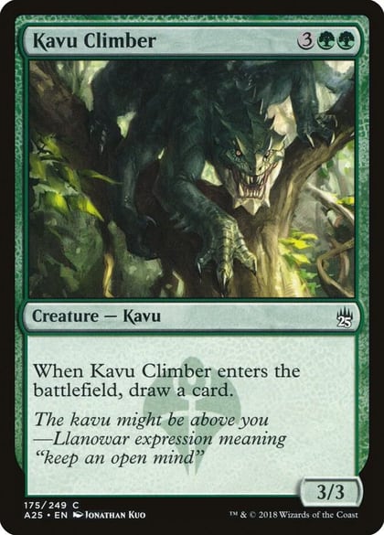 Kavu Climber, Masters 25 175