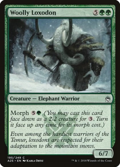 Woolly Loxodon, Masters 25 195