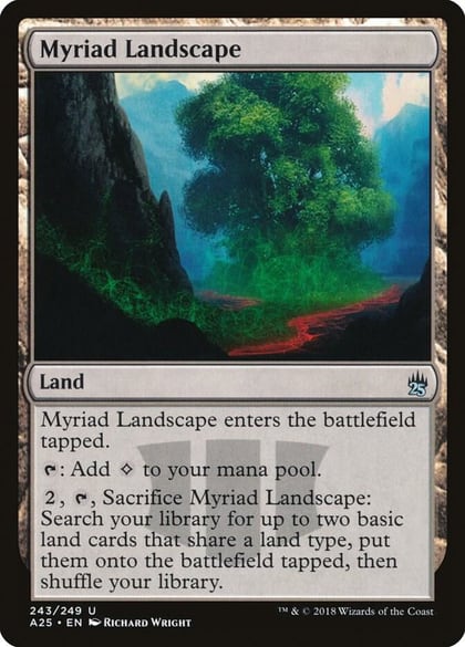 Myriad Landscape, Masters 25 243