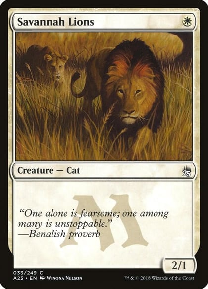 Savannah Lions, Masters 25 33