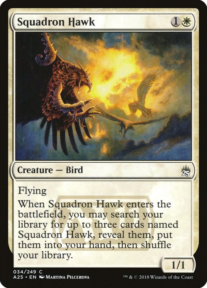 Squadron Hawk, Masters 25 34