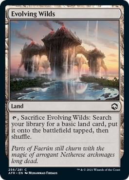 Evolving Wilds, Adventures in the Forgotten Realms 256