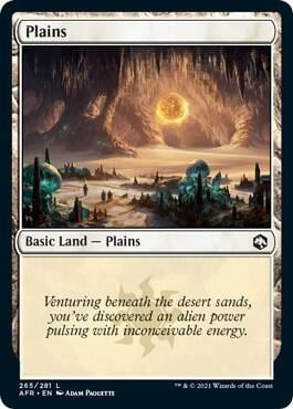 Plains (265), Adventures in the Forgotten Realms 265