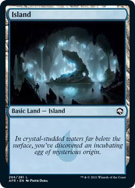 Island (266), Adventures in the Forgotten Realms 266