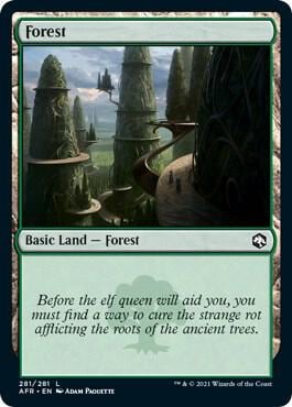 Forest (281), Adventures in the Forgotten Realms 281