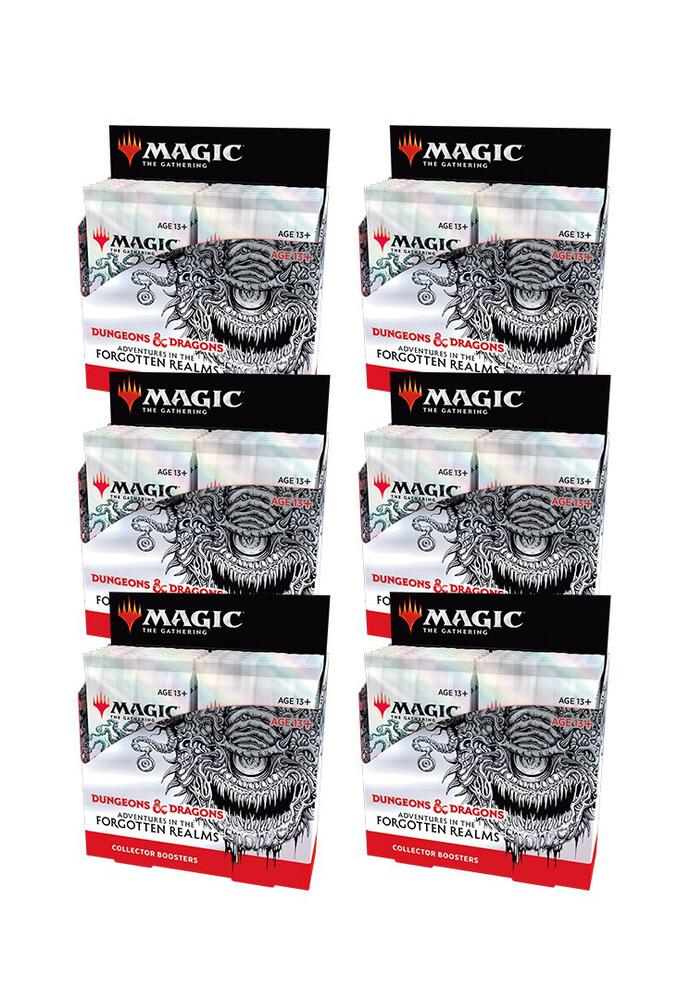Adventures in the Forgotten Realms - Collector Booster Display Case, Adventures in the Forgotten Realms P238851