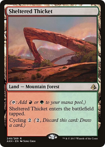 Sheltered Thicket, Amonkhet 248