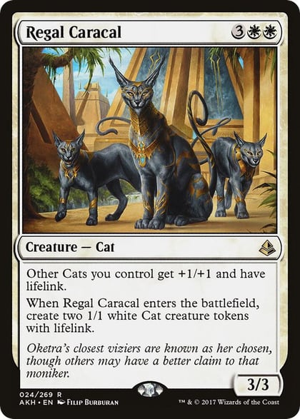 Regal Caracal, Amonkhet 24