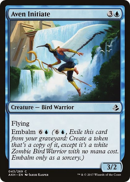 Aven Initiate, Amonkhet 43