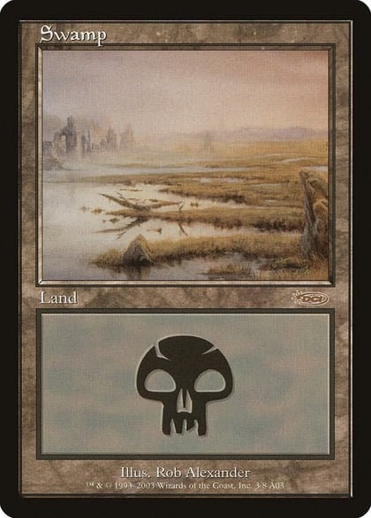 Swamp (2003), Arena Promos 3