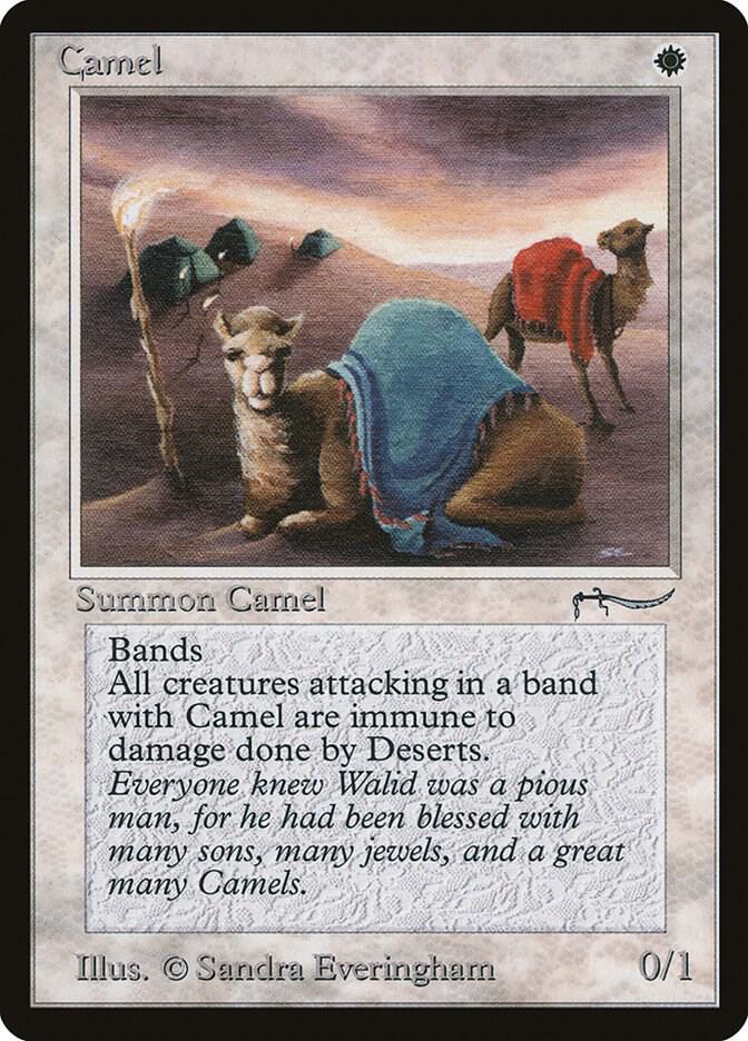 Camel, Arabian Nights #3173