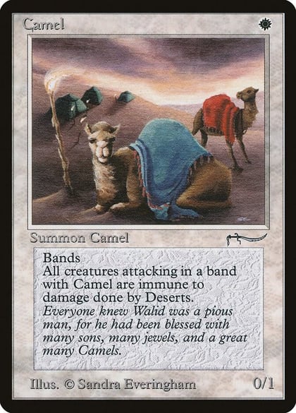Camel, Arabian Nights #3173